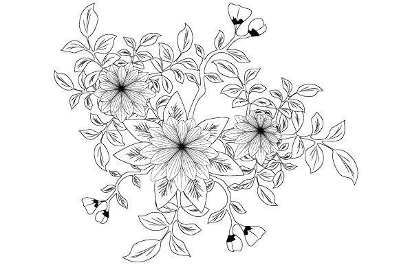 Black and Floral: Timeless Hand-Drawn Botanical Design