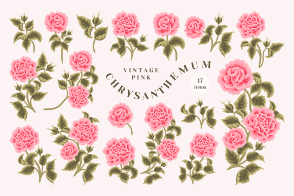 Classic Pink Chrysanthemum Floral Set: Vintage Botanical Charm for Modern Creative Projects