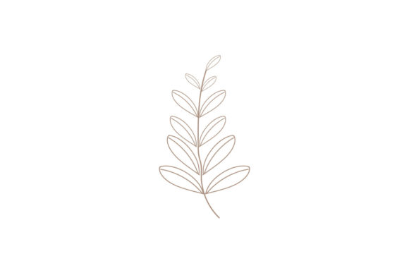 Evaluating Hand Drawn Leaf Floral Elements for Your Design Projects